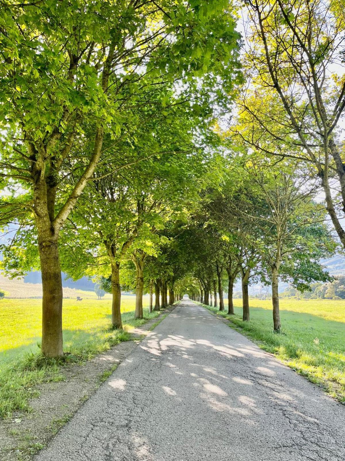 Panorama Apartments Semslach Obervellach Dış mekan fotoğraf