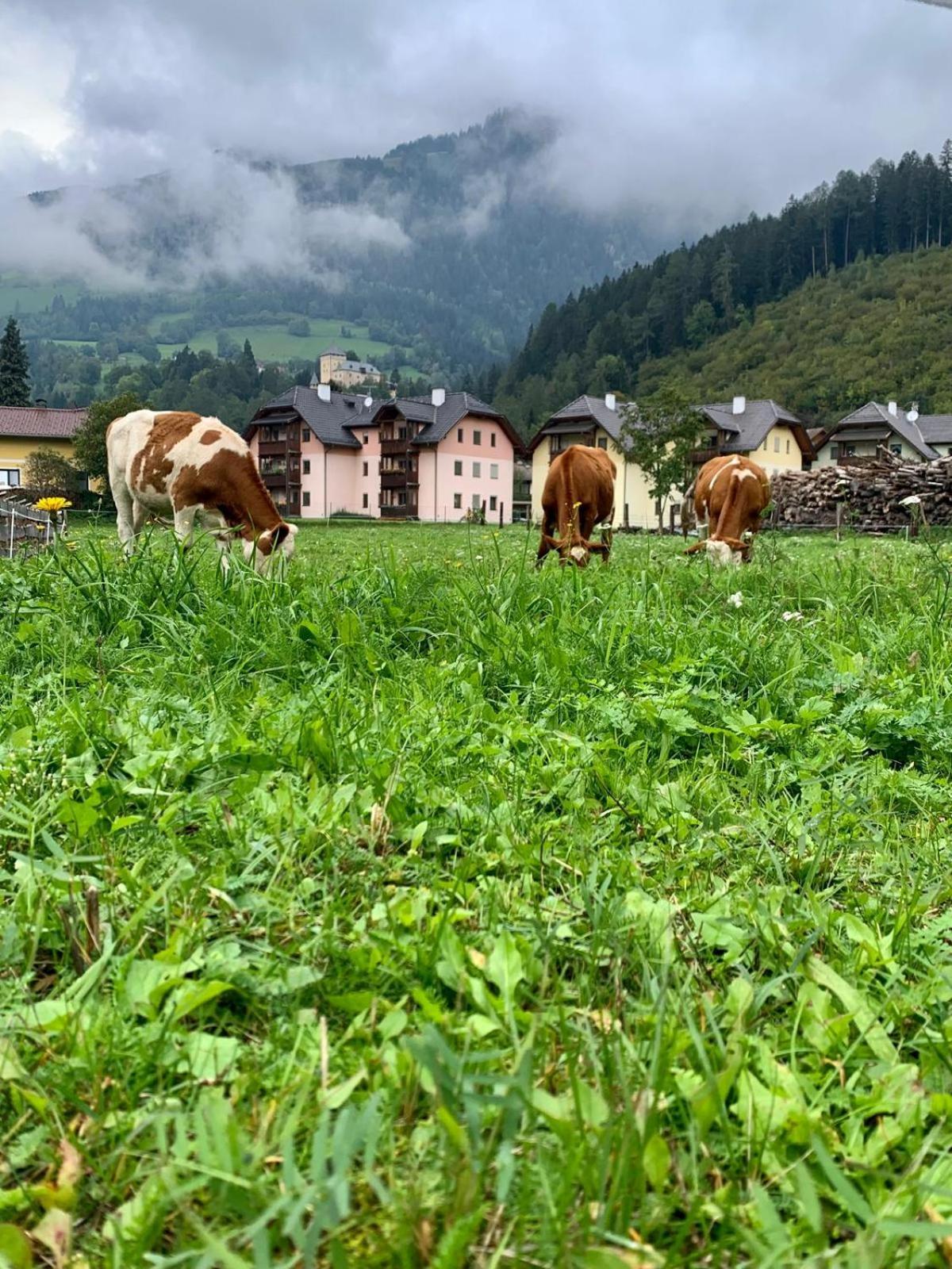 Panorama Apartments Semslach Obervellach Dış mekan fotoğraf